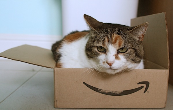 Tu gato prefiere Amazon