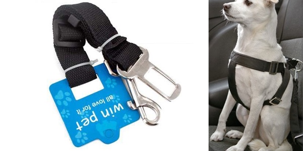 cinturón de seguridad coche para perros