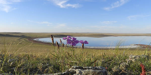 paisajes Dauria Mongolia Rusia