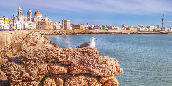 alojamientos baratos en Cádiz para hacer ruta