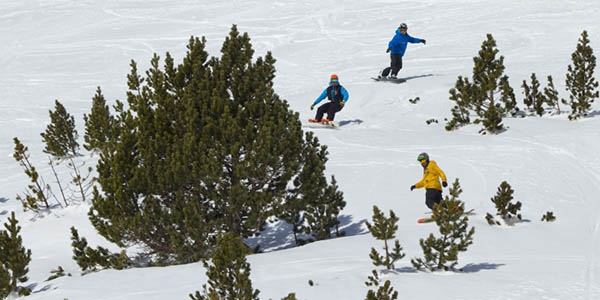 plan alojamiento y forfait para pistas de esquí Vallter 2000 invierno 2018