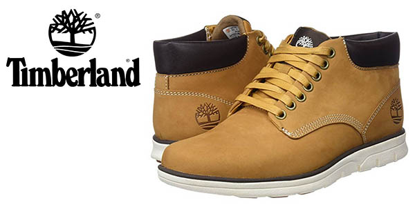 botas timberland bradstreet chukka