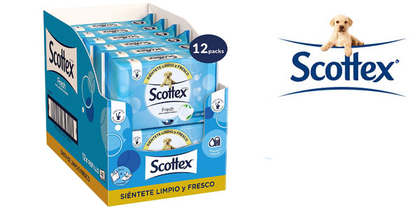 Pack de 504 toallitas papel higiénico humedo Scottex baratas en Amazon