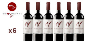 Pack 6 botellas vino tinto Vinitium Colección especial Reserva 2014 (D.O. Somontano) barato en eBay