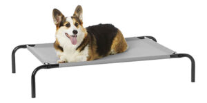 Amazon Basics cama perro elevada oferta