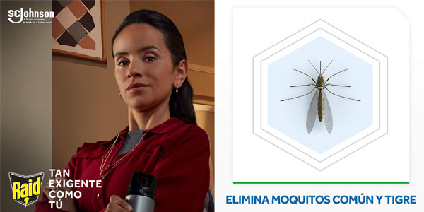 Raid Difusor Mosquitos + Recambio 90 noches chollo en Amazon