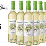 Pack x6 botellas vino blanco Señorío de los Llanos Verdejo de 750 ml barato en Amazon