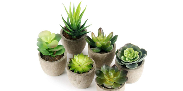 Set 6 Plantas suculentas artificiales GoMaihe baratas en Amazon