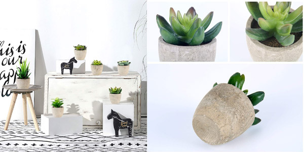 Set 6 Plantas suculentas artificiales GoMaihe chollo en Amazon