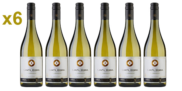 Pack x6 botellas Vino blanco Santa Digna Chardonnay de 750 ml barato en Amazon