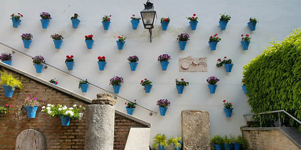 Córdoba festival patios de flores alojamientos baratos