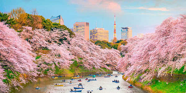 Japón viaje por libre con tour recomendado chollo Voyage Privé