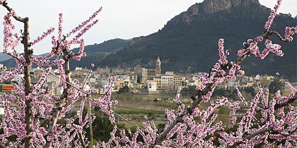 visitas a la Floración de Cieza hoteles baratos