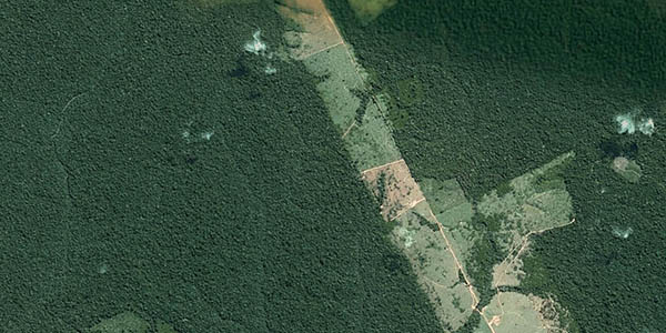 deforestación Amazonas visto desde Google Earth