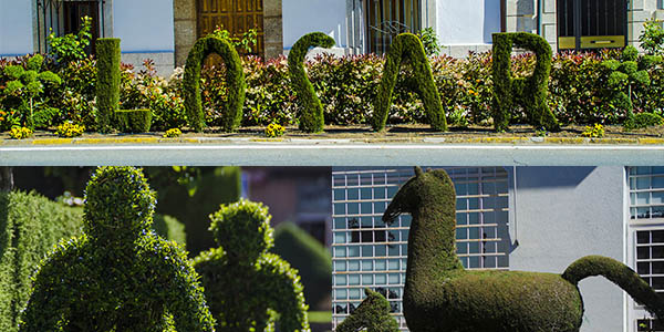 esculturas vegetales en Losar de la Vera Cáceres escapada barata