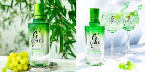 Chollo Ginebra G’Vine Floraison de 700 ml