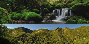 Bosque de Muniellos escapada de otoño barata