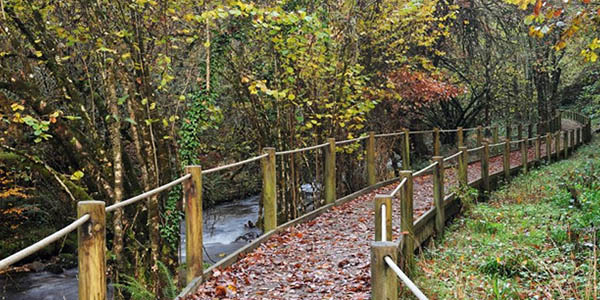 escapada al Bosque de Muniellos Asturias alojamientos baratos