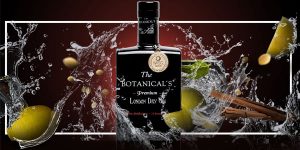Ginebra Botanical's Premium Dry Gin de 700 ml barata en Amazon