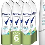 Chollo Pack de 6 desodorantes Rexona Stay Fresh de 200 ml