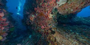 Gran Barrera Coral recorrido virtual gratuito