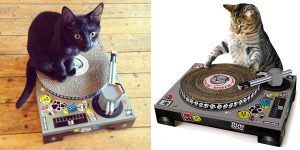 Rascador Tocadiscos para Gatos barato en Amazon