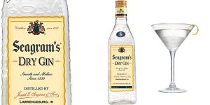 Ginebra Premium Seagram's Dry de 1000 ml barata en Amazon