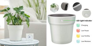 Wanfei maceta inteligente barata