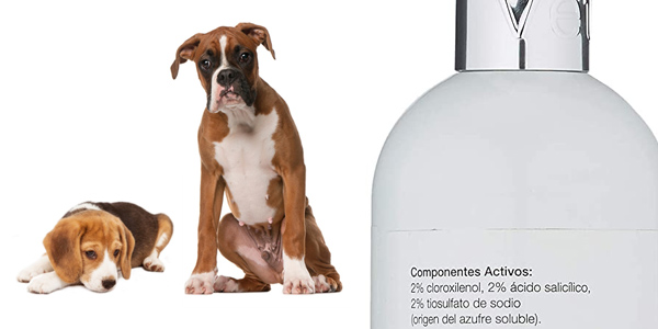 Champú tratante VetPlus Coatex de 500 ml para perros chollo en Amazon