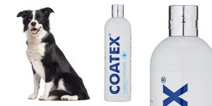 Champú tratante VetPlus Coatex de 500 ml para perros barato en Amazon