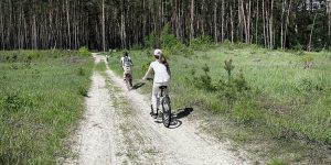 rutas bici españa destinos económicos