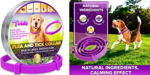 Chollo Collar antipulgas Toldi para perros