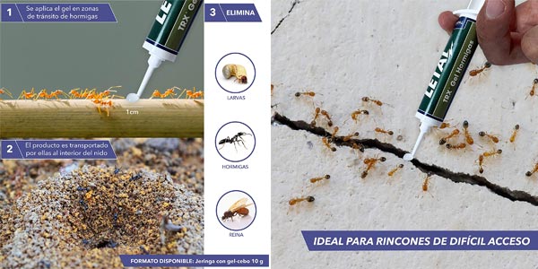Pack x2 Gel insecticida hormigas Zotal Letal TRX chollo en Amazon