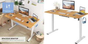 Escritorio de pie Flexispot EG1 de altura ajustable
