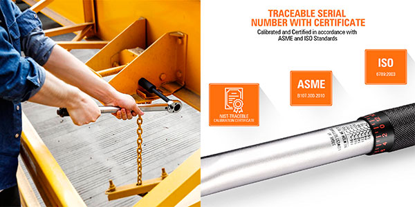 Llave dinamométrica profesional TacklifeTools en oferta