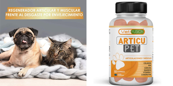 Antiinflamatorio Articut Vet Fusion para perros y gatos barato en Amazon