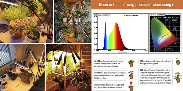 CXhome lámpara cultivo plantas oferta