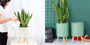 Chollo Maceta Lagita con soporte y autorriego