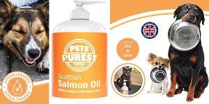 Chollo Aceite de salmón premium Pets Purest para perros y gatos de 500 ml