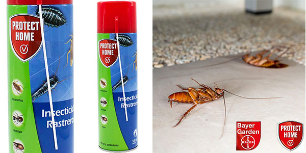 Chollo Insecticida Protect Home contra cucarachas, hormigas e insectos de 500 ml