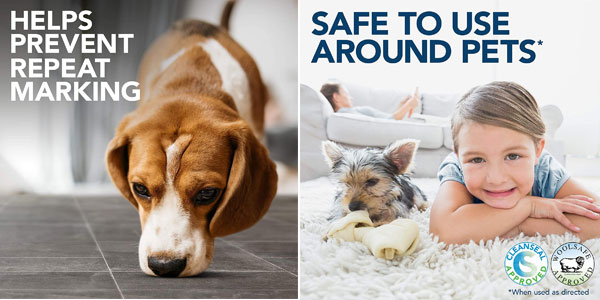 Spray Eliminador de olores y manchas Simple Solution para perros en Amazon