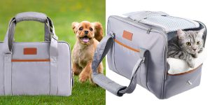 Transportín flexible Sailosun para perros y gatos barato en Amazon