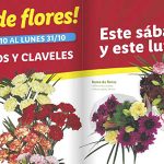 Lidl ramos flores naturales baratos