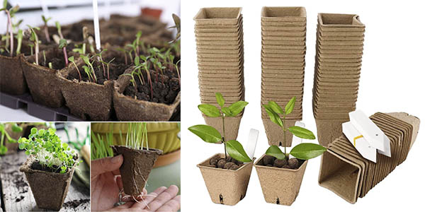 kit cultivo plantas doméstico chollo