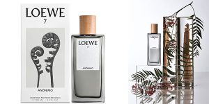 Chollo Eau de parfum Loewe 7 Anónimo de 50 ml para hombre