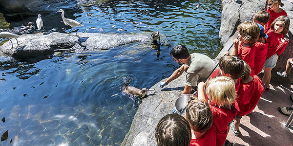 Zoo Barcelona entradas descuentos