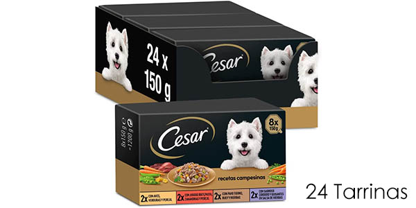 Pack x24 tarrinas de comida húmeda para perros César Recetas Campesinas
