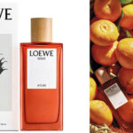 Chollo Eau de parfum Loewe Solo Atlas de 50 ml para hombre