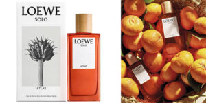 Chollo Eau de parfum Loewe Solo Atlas de 50 ml para hombre