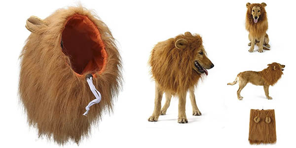 Namvo peluca melena león mascotas chollo